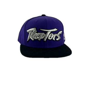 Mitchell & Ness Raptors Purple Fabric NBA Hardwood Classics Cap